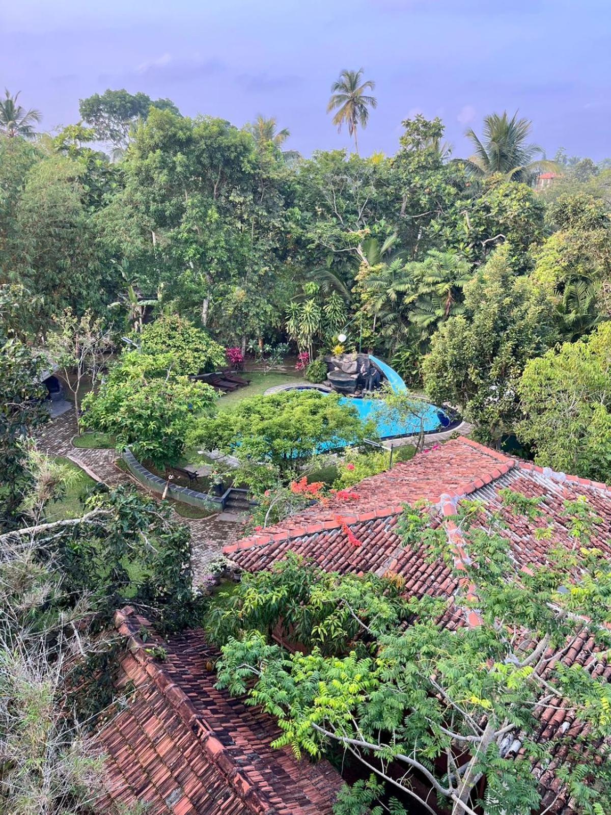 Villa 80 Bentota Kültér fotó